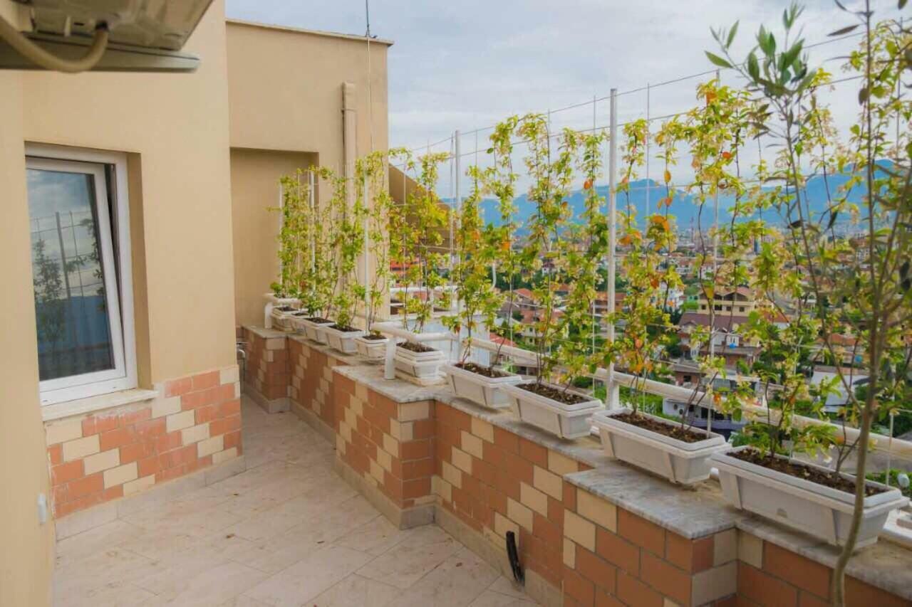 Modern Furnished Apartment With View تيرانا المظهر الخارجي الصورة